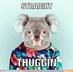 Meet your Posher, Dominic